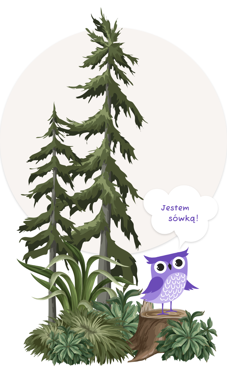 fioletowa sowa