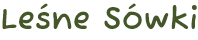 Leśne Sówki logo